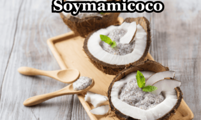 Soymamicoco