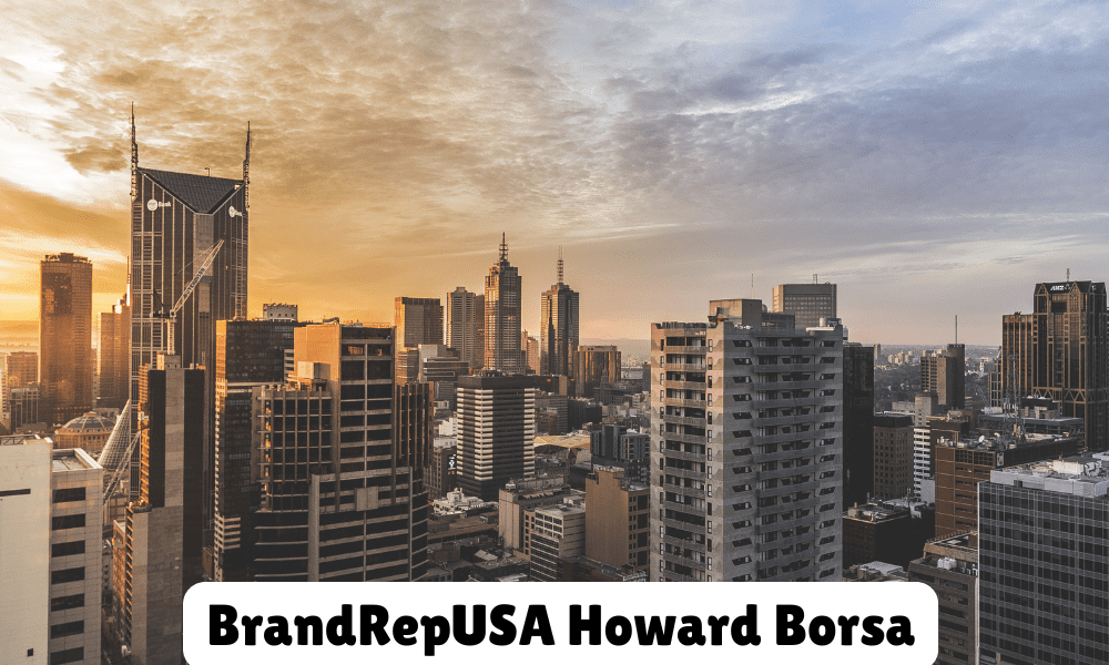 brandrepusa howard borsa linecard