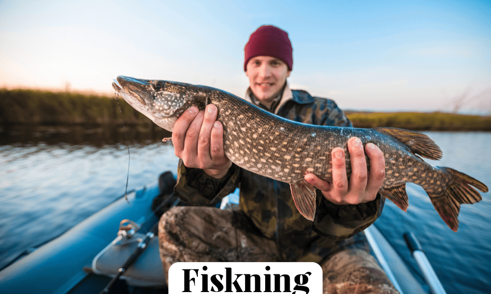 Fiskning