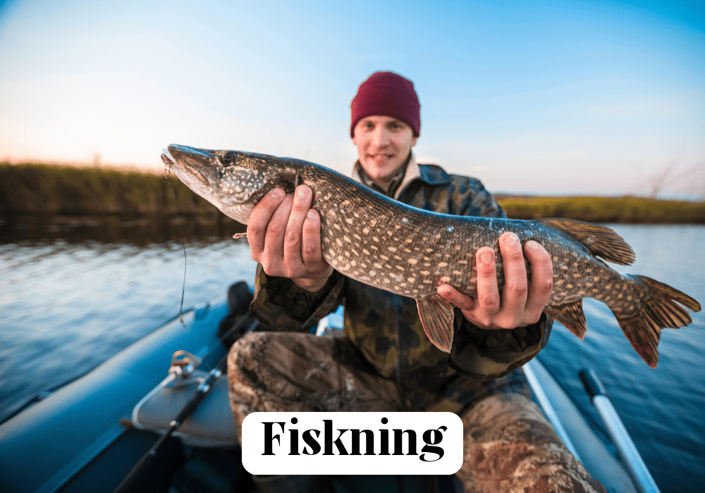 Fiskning