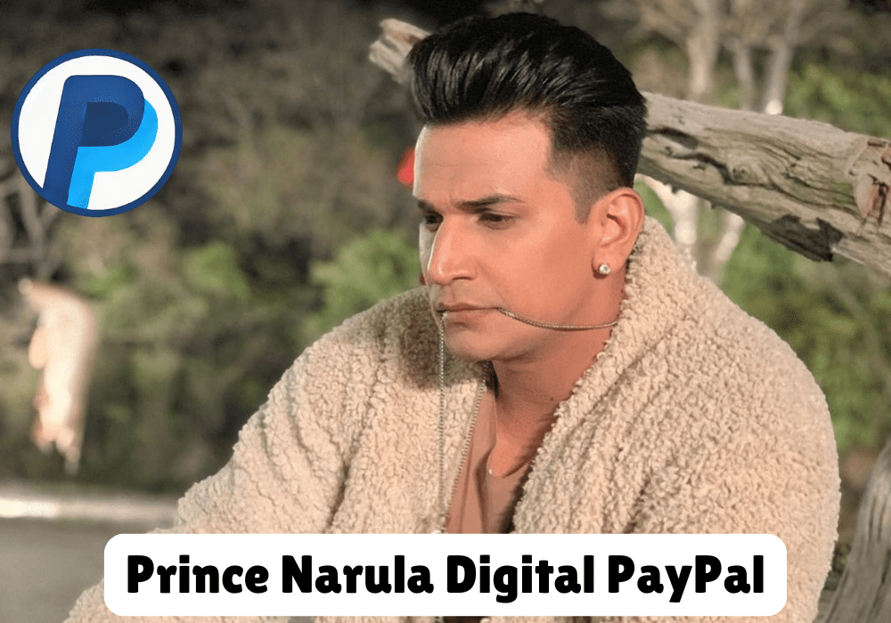 Prince Narula Digital PayPal