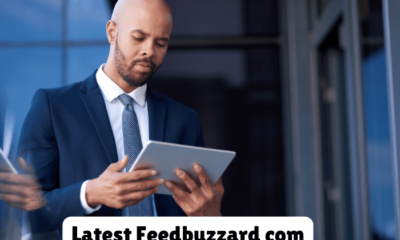 Latest Feedbuzzard com